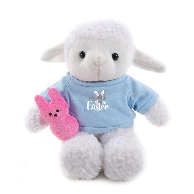 1ST Easter Stuffed Animal with Bunny Carrot Custom Text on Shirt 12''