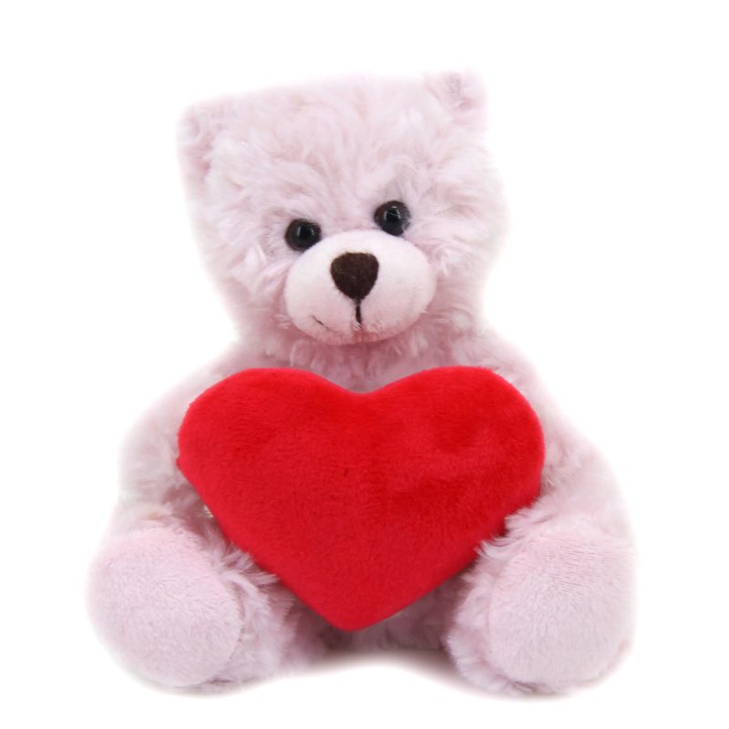 Pink Teddy Bear with Personalized Message on Heart 9''